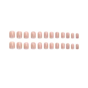 Vista dettagliata delle unghie finte glitterate nude, set di unghie corte giornaliere.