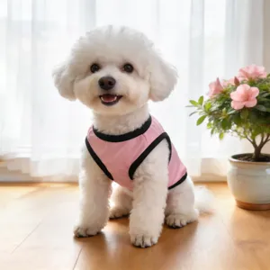 Detailed shot of a cute white dog wearing a breathable pink pet vest on a wooden floor.