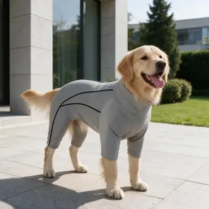 Grey four-legged dog jumpsuit for large breeds, stylish pet apparel close-up detail.