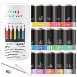 123-piece professional colored pencil set with 120 unique vibrant oil-based colors for drawing.