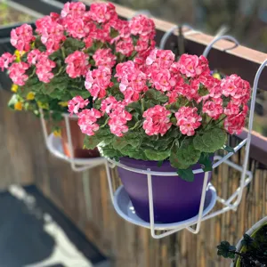 Artificial geranium flower potted plant hanging on balcony railing detail shot.