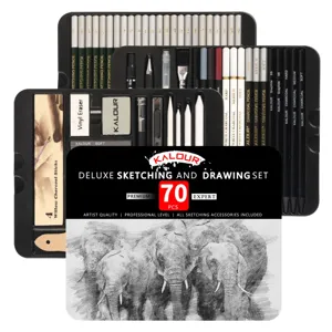 70 pezzi set per disegno e schizzi kit professionale di matite artistiche e carboncino