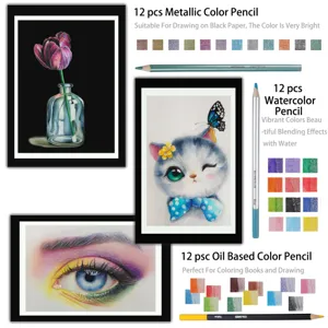 Dettaglio del set di matite colorate professionali con matite metalliche, acquerello e a olio.