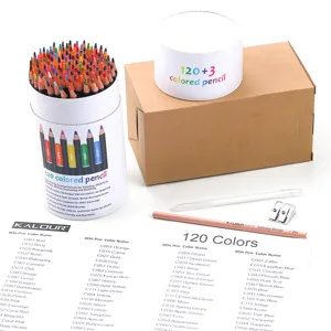 Professional 123-piece colored pencil set with 120 vibrant oil colors, blender and color chart.