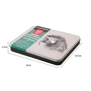 Set d'arte di matite da disegno e schizzo professionale da 50 pezzi in scatola di metallo.