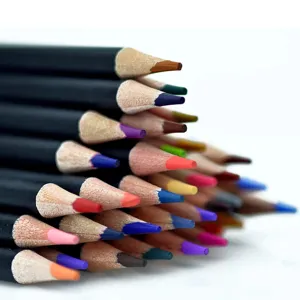 Close-up detail of sharpened colored pencils with vibrant multi-color leads and black barrels.