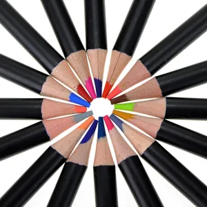 Professional colored pencils set arranged in creative radial pattern for vibrant art drawing.