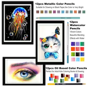 12pcs colored pencils set metallic watercolor oil based professional drawing art supplies detail