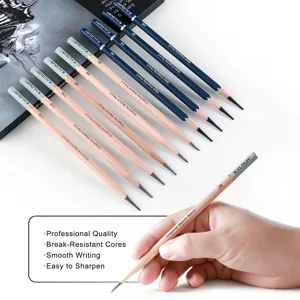 KALOUR Set di Matite in Grafite Professionali per Disegno Artistico e Schizzi d'arte