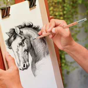 Matita da disegno professionale in legno KALOUR per schizzi artistici e grafite B.