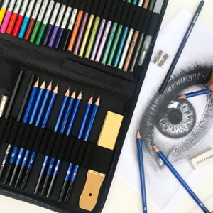 Professional 51-piece sketching pencil art drawing set complete sketching tool kit for artists.