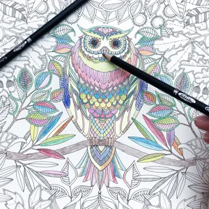 Colored pencil set for drawing and coloring books, vibrant shades, smooth coloring experience.