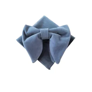 Set papillon e fazzoletto da taschino in velluto blu per uomo, accessori eleganti.