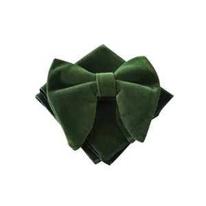 Set papillon e fazzoletto da taschino in velluto verde scuro da uomo, stile elegante.