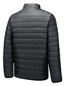 Herren schwarze leichte Steppjacke Rückansicht, warme Winter gefütterte Stehkragen Oberbekleidung.