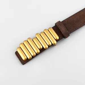 Close-up detail of brown suede belt with golden metallic pill shaped decorative buckle elements.