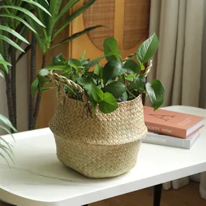 Nordic seagrass woven belly basket storage planter pot for home decor and indoor green plants.