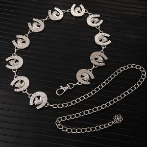 Close-up detail of vintage silver horseshoe metal chain belt, decorative waist accessory.