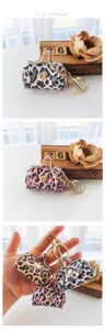 Mini sac à main imprimé léopard porte-clés avec quincaillerie dorée, accessoire coloré.