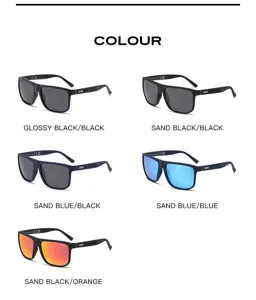 Hommes mode carrée lunettes de soleil polarisées variantes de couleur détail, lunettes style.
