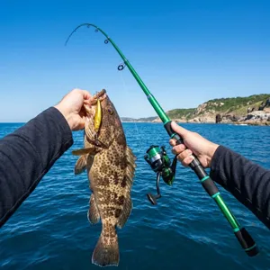 Detailed view of the 3M telescopic fishing rod set showing performance on open sea.