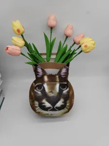 Μεγάλο λούτρινο παιχνίδι Floppa μαξιλάρι καρακαλ χαριτωμένη τετράγωνη κούκλα γάτας.