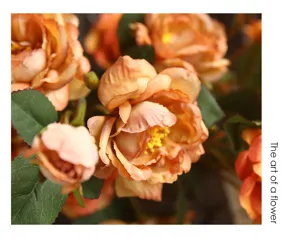 Primo piano dettagliato di Peonie artificiali autunnali vintage per decorazioni domestiche
