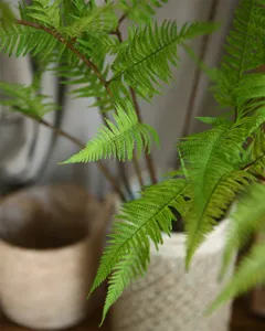 Artificial fern leaves greenery detail view faux boston fern foliage for floral arrangement
