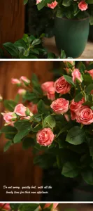 Vista dettagliata della composizione di fiori artificiali di rose di Milano con un bel vaso.