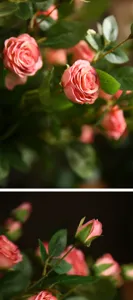 Bouquet di rose artificiali in seta composizione floreale per decorazione casa