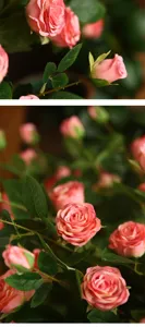 Dettaglio fiore di rosa artificiale, finti fiori rosa per composizione floreale decorativa.