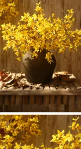 Gros plan détaillé de branches de fleurs de forsythia artificielles aux fleurs jaunes.