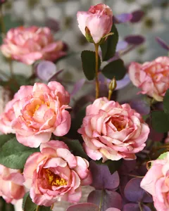 Primo piano dettagliato di bellissime peonie artificiali in stile autunnale vintage per casa.
