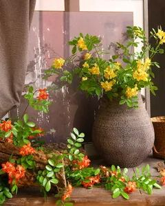 Artificial Sophora japonica flower branch detail shot for home decor vase arrangement