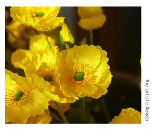 Artificial yellow poppy flowers flocked velvet floral bouquet for home decor and wedding party.