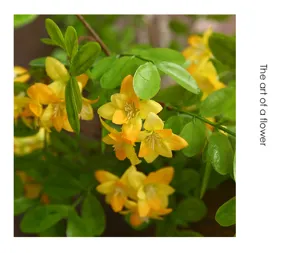 Close-up detail of artificial yellow flowers and green leaves for home decor floral display.