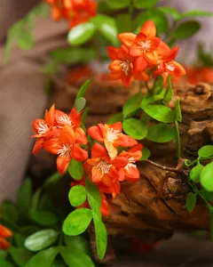Detail view of artificial orange bean locust flowers and green leaves for home decor display.