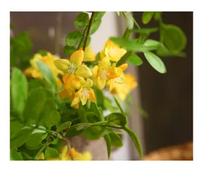 Detailed close-up shot of artificial yellow locust flowers branch for home decor aesthetic.