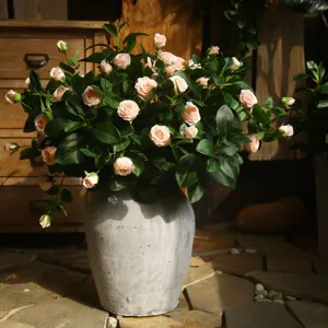 Composizione di rose artificiali di Milano con vaso in ceramica per arredamento soggiorno.