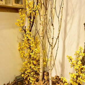 Branches de fleurs jaunes forsythia artificielles arbres de bouleau intérieur hôtel