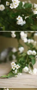 Vista dettagliata di rose bianche artificiali in tessuto con foglie verdi per casa.