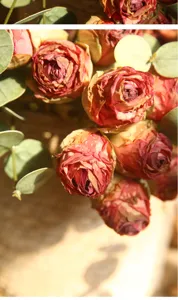 Close-up of retro burnt-edge artificial roses with eucalyptus for floral decor details.