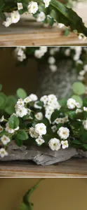 Finta pianta di vite di rose bianche decorazione casa disposizione floreale tavolo