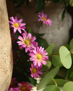 Primo piano sui dettagli del fiore di margherita rosa artificiale, supporto fotografico.