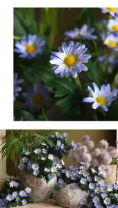 Vista dettagliata di piccoli fiori di margherita artificiali, stile rustico decor foto accessori.