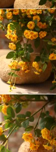 Dettaglio di fiore di rosa gialla finta, ideale per decorare il tavolo del soggiorno e la casa.