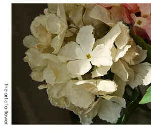 Ortensia artificiale ramo singolo fiore primo piano decorazione casa supporto fotografico
