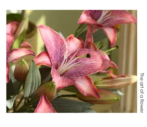 Flor de lirio retro artificial, elegante estilo nórdico para centro de mesa de la sala.