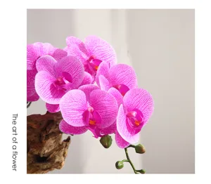 Artificial Phalaenopsis orchid flower detail with pink patterned petals and wood base decor