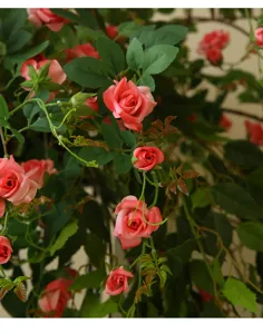 Close-up view of artificial rose vine detail, showing realistic pink flower petals and green leaves.